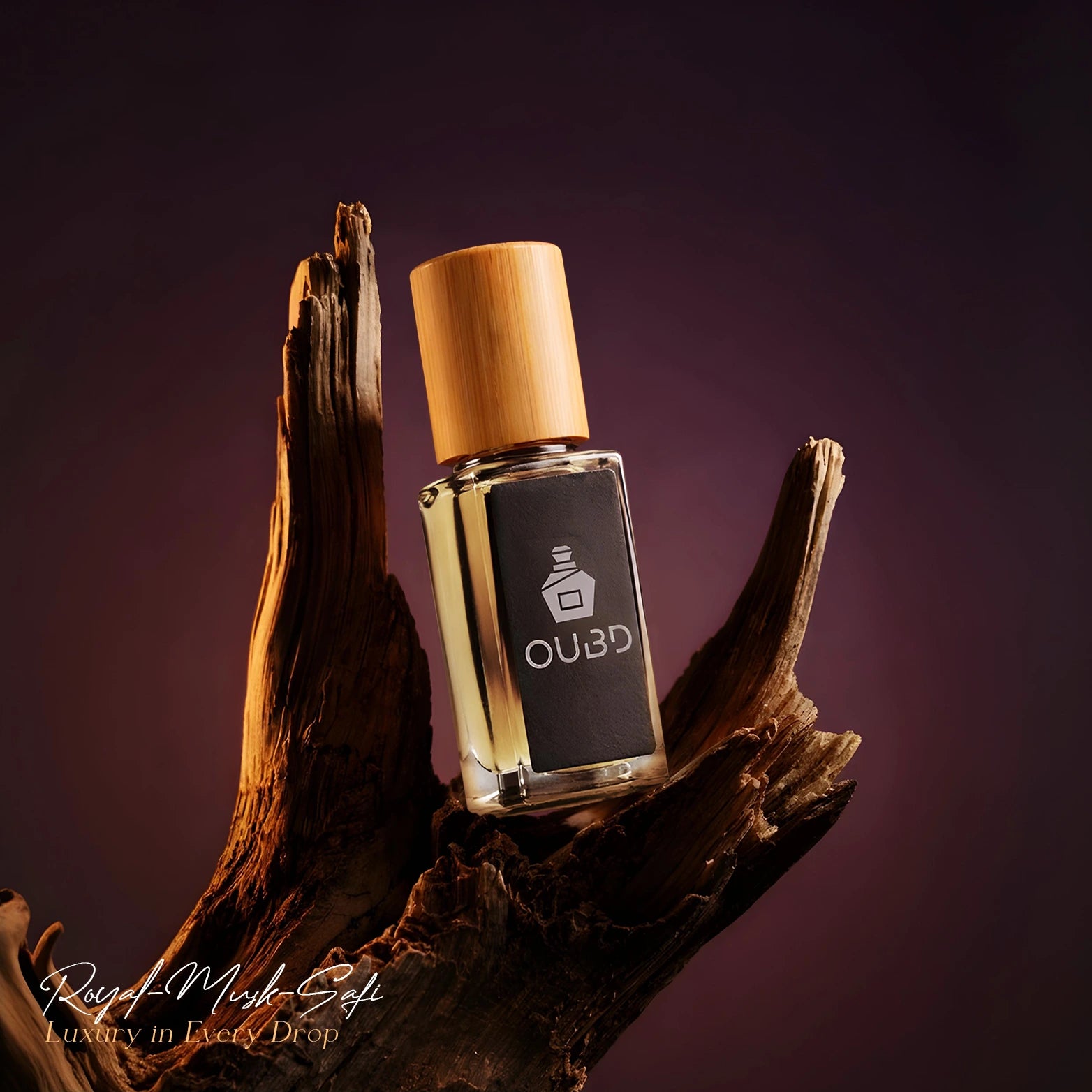 SAFI 3 ML - 