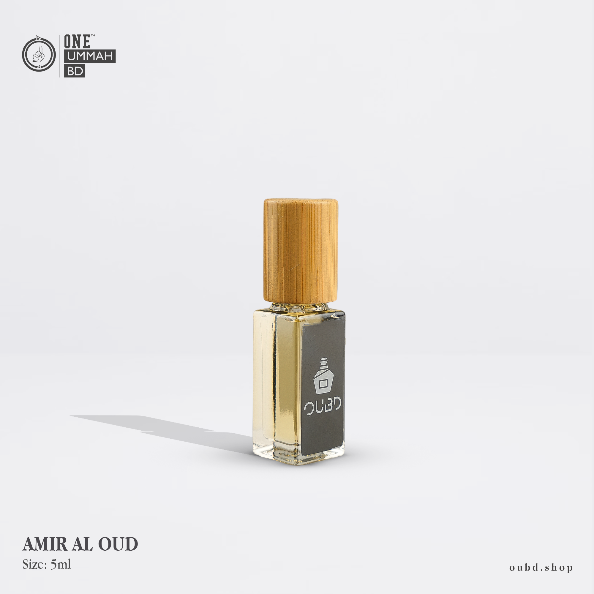 AMEER AL OUDH