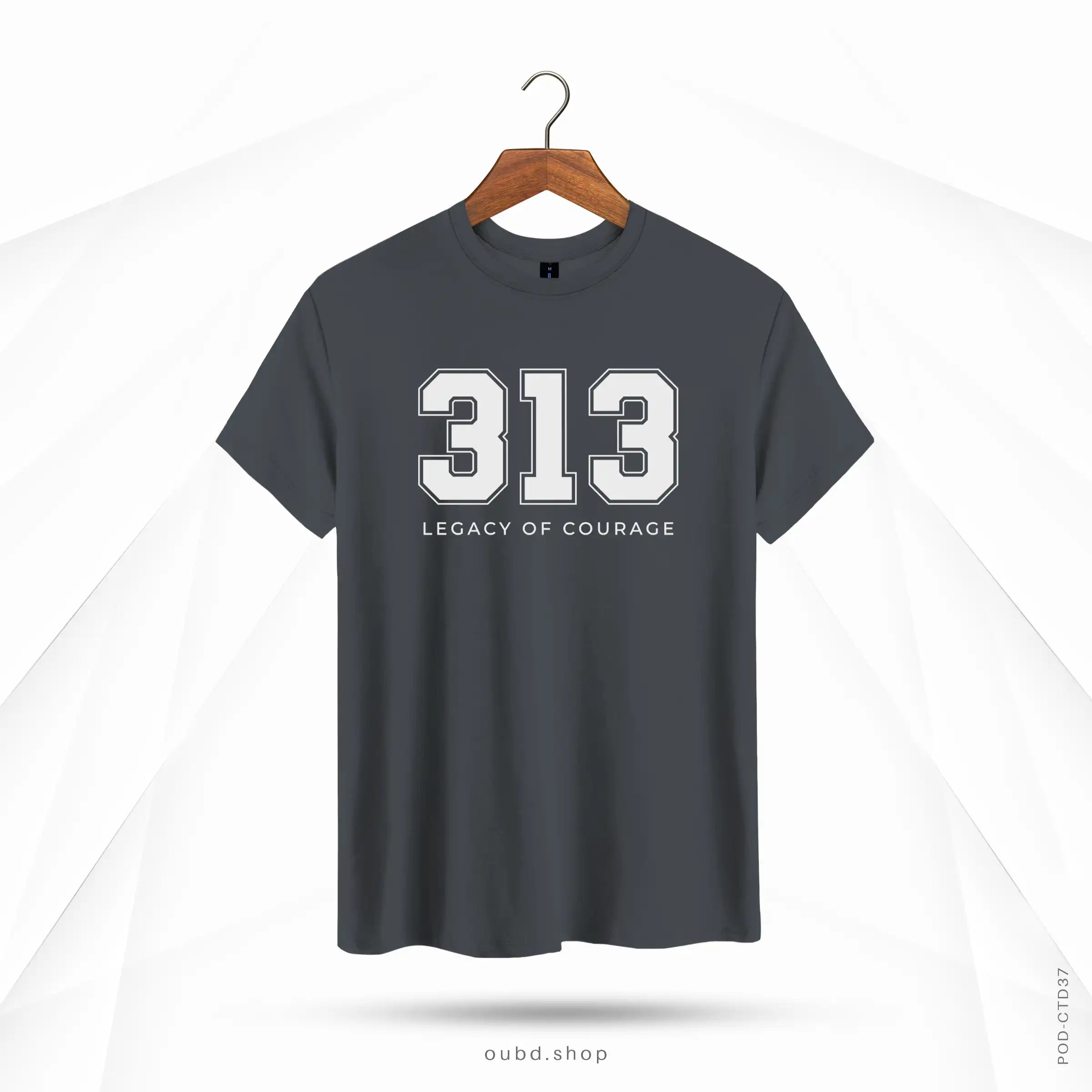 313 - DARK ASH